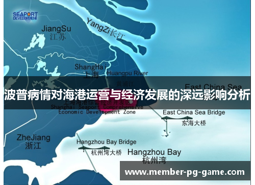 波普病情对海港运营与经济发展的深远影响分析