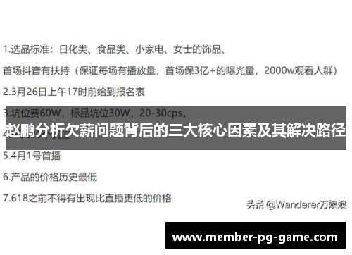 赵鹏分析欠薪问题背后的三大核心因素及其解决路径