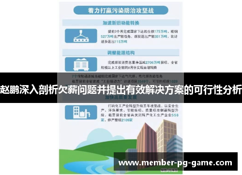 赵鹏深入剖析欠薪问题并提出有效解决方案的可行性分析