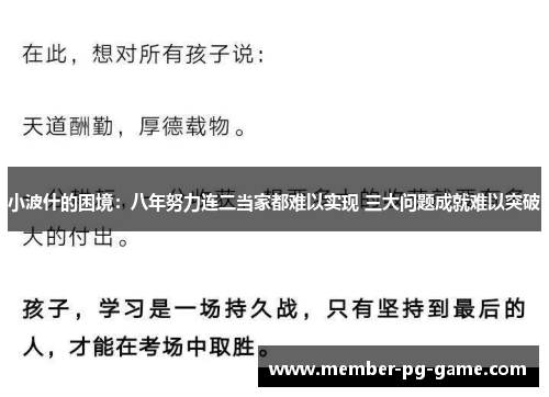 小波什的困境：八年努力连二当家都难以实现 三大问题成就难以突破