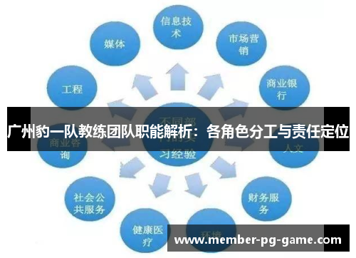 广州豹一队教练团队职能解析：各角色分工与责任定位