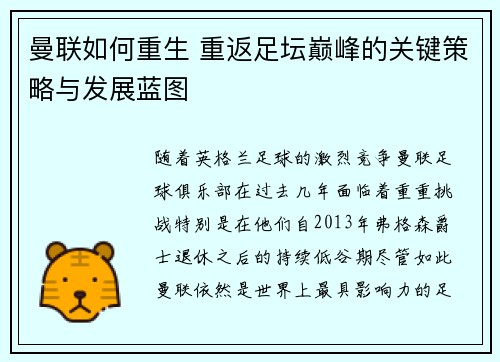 曼联如何重生 重返足坛巅峰的关键策略与发展蓝图