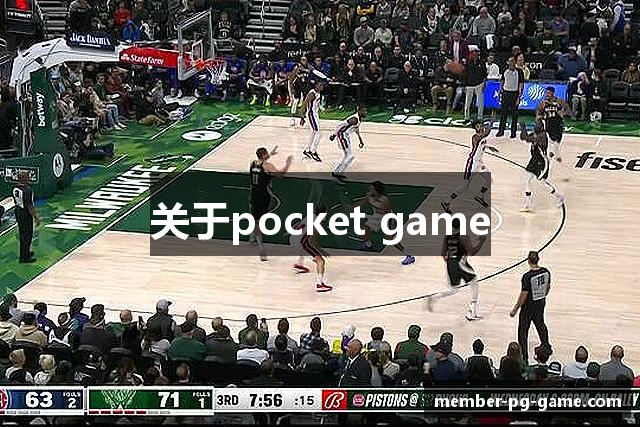 关于pocket game